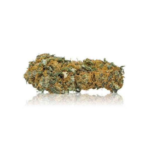 Ganesh ◆ CBD ~12%