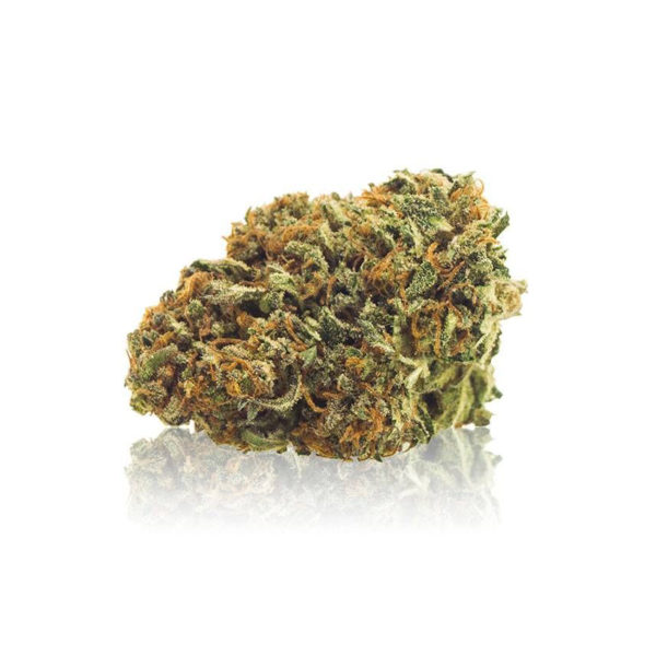 Holy Weed ◆ CBD ~12%