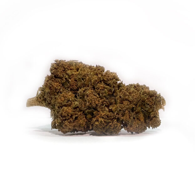amnesia haze vecchia lemon haze