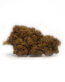 amnesia haze vecchia lemon haze