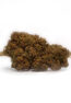 amnesia haze vecchia lemon haze