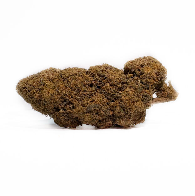 gelato copia
