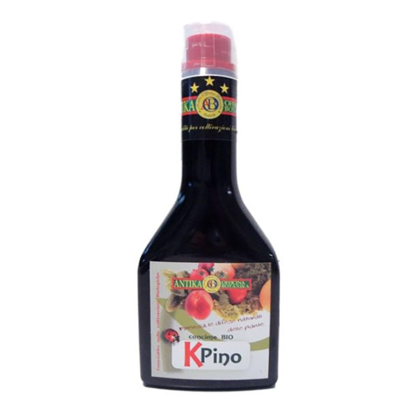 K-PINO