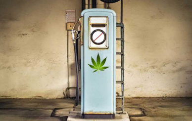 biocarburante-canapa-feat-1024x550