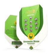 amnesia-haze-automatic.jpg c