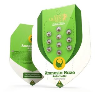 amnesia-haze-automatic.jpg c