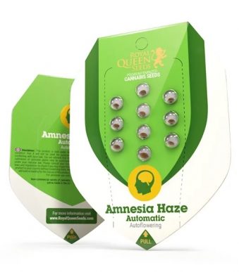 amnesia-haze-automatic.jpg c