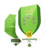 autoflowering-mix.jpg l